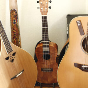 Mandoline, Didgeridoo, Ukulele und Gitarre